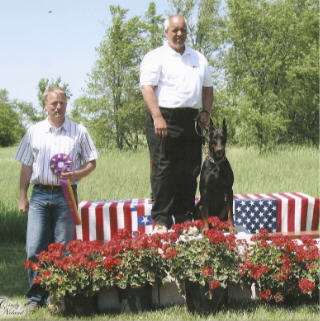 AKC Black Doberman